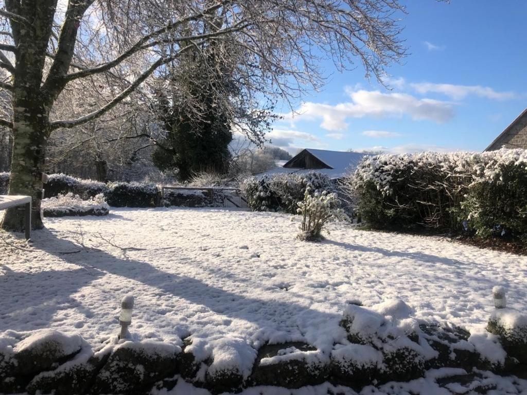 Maison De Campagne Sarroux Exteriör bild